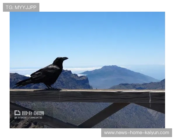 乌鸦外接手状态出色,助力球队取胜,请问乌鸦 乌鸦外接手状态出色,助力球队取胜,请问乌鸦